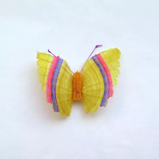 Mariposa Listada