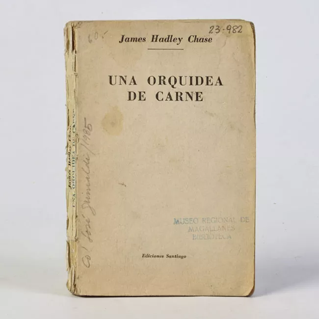 Una orquidea de carne