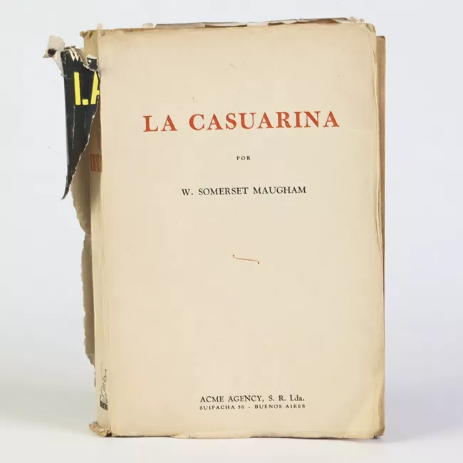 La Casuarina