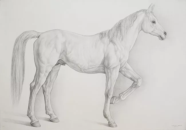 Caballo