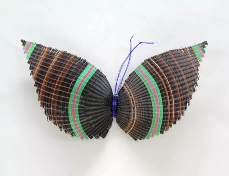 Mariposa Listada