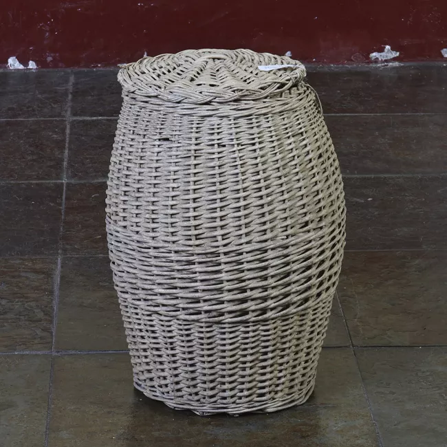 Cesto
