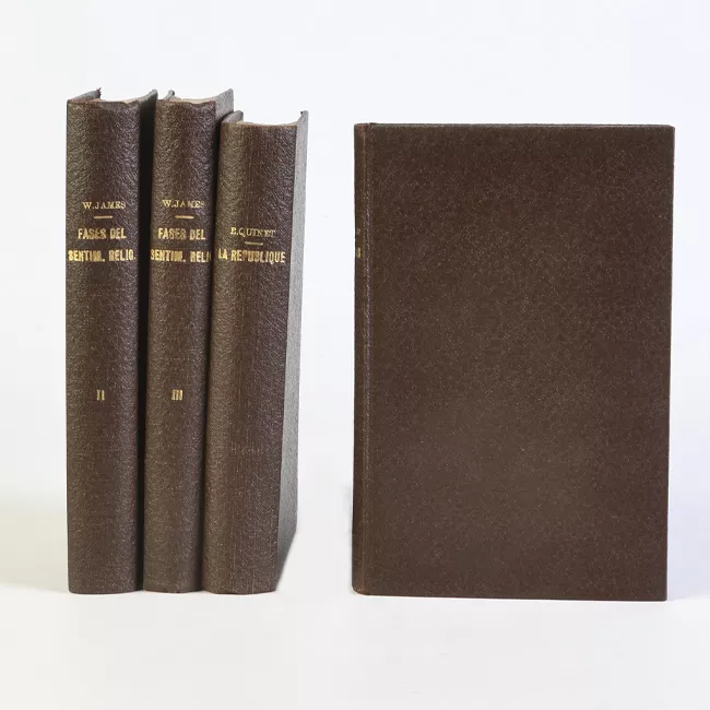 Polémicas y estudios literarios
