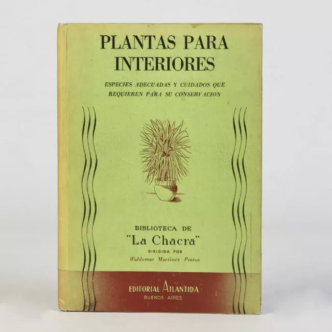 Plantas para interiores