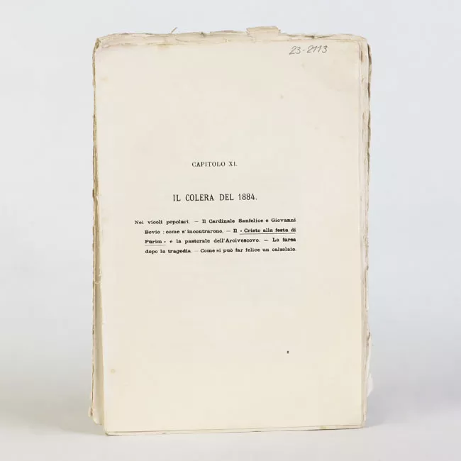 Colera del 1884 Capitulo XI