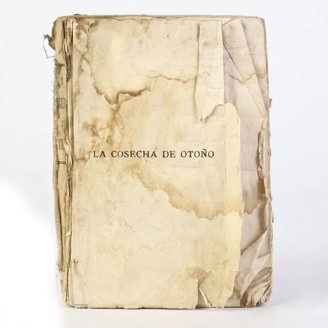 La cosecha de otoño