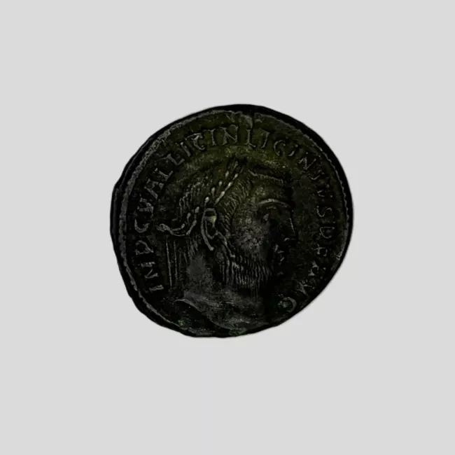 1/2 FOLLIS