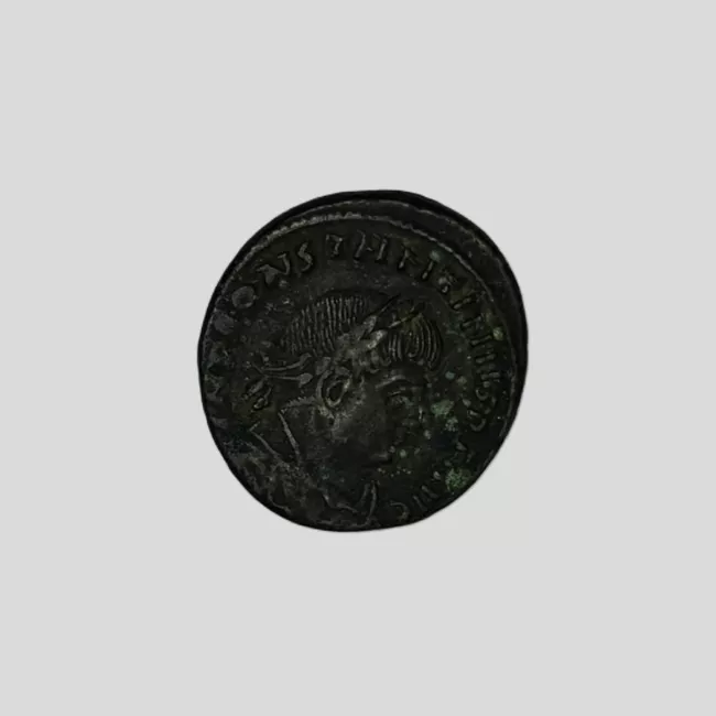 FOLLIS