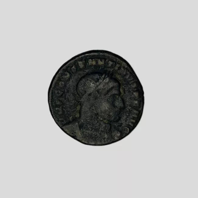 FOLLIS