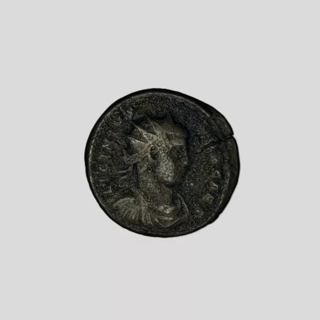 1/2 FOLLIS