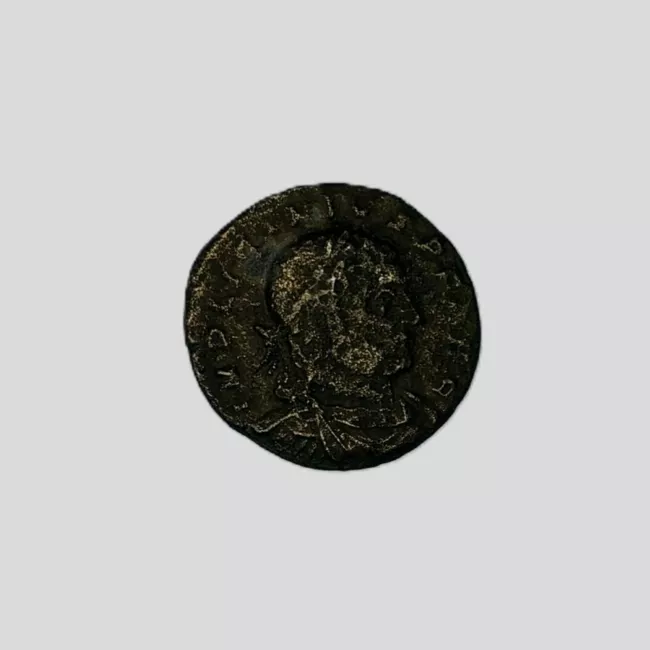 1/2 FOLLIS