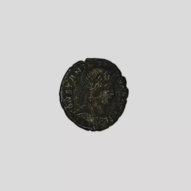 1/2 FOLLIS