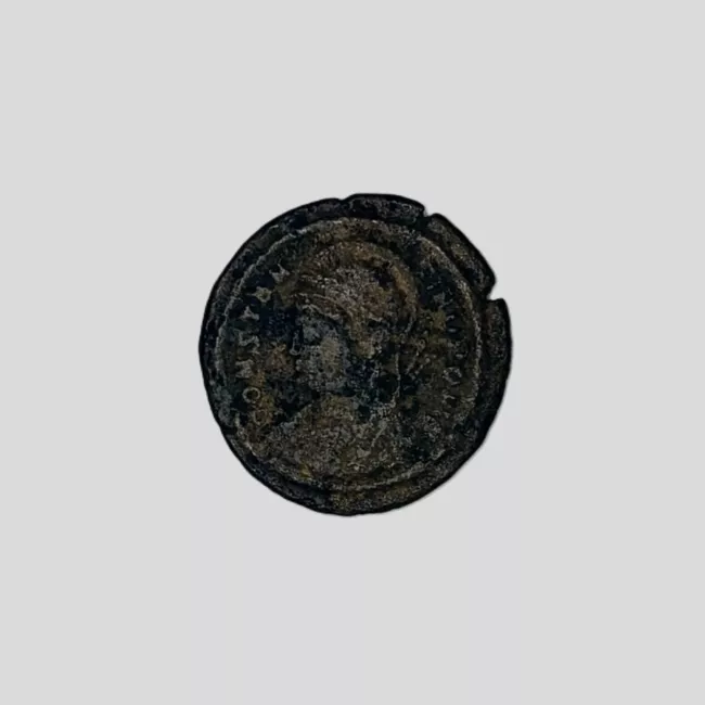 FOLLIS