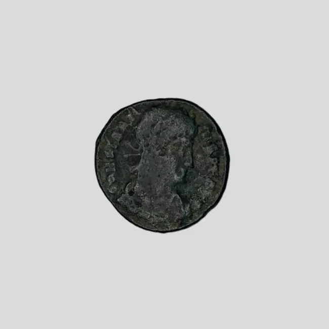 1/2 FOLLIS