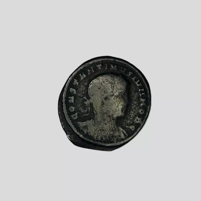 1/2 FOLLIS
