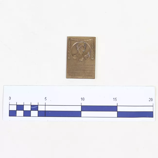 Medalla de la Cruz Roja Austrohúngara